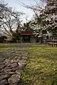 本城郭の桜(2010年4月撮影)