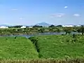 河口（利根川合流点）