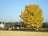 駅全景（2008年11月）