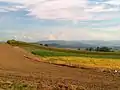 ケールザッツ