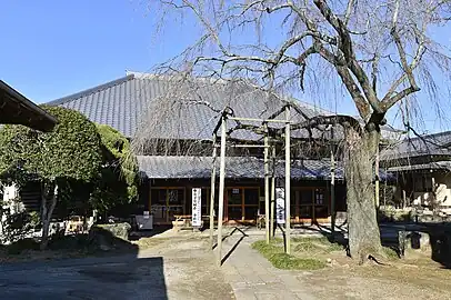 寺務所入口にしだれ桜（エドヒガン）が植栽されており、花見スポットとしても有名。