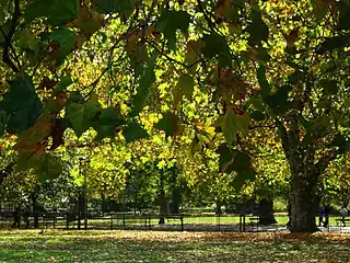 ケニントン公園 (Kennington Park)