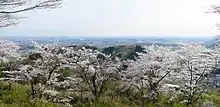 太平山県立自然公園(謙信平)
