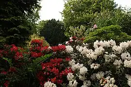 フラワー・ウォーク近く