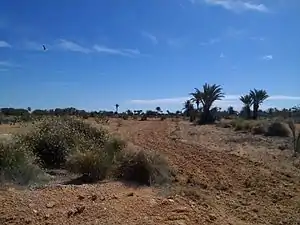 乾燥したケルケナの風景