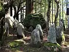 今朝平八幡神社の袈裟掛石（2012年（平成24年）3月）