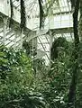 キュー王立植物園の温室(ロンドン)