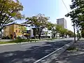 けやき通り