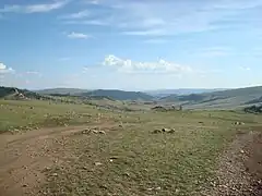 モンゴルの草原地帯