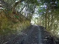 土盤切り出しの古道(印南町)