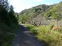 里山風情の古道(印南町)