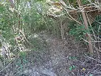 すれ違い困難な隘路(みなべ町)