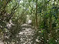 千里王子跡北東参詣道