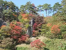 きみまち阪