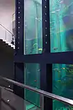 シーズーの大水槽