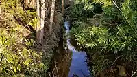 木ノ下川（長谷口町・八王子町境）