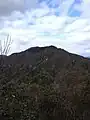 亀山
