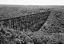 A black and white aerial photo of a bridge crossing a valley