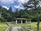 段戸裏谷原生林「きららの森」