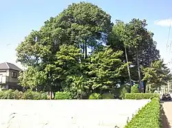 北岩岡八幡社