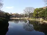 中央の池付近の様子（2010年12月）