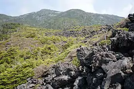 八ヶ岳連峰の中で最も新しい溶岩地形である北横岳・坪庭