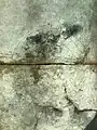 キトラ古墳の天文図