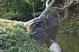 伊予磯石
