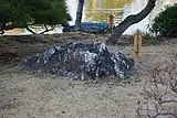 武州三波青石