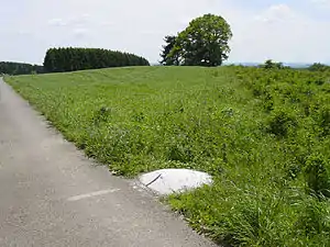 クナイフ