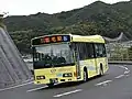 会社設立後に導入したノンステップバス