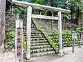 木霊神社 鳥居と参道石段