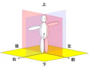 上下、左右、前後