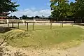 般若の芝