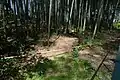 桜町曲輪土塁（獅子ヶ崎土塁）