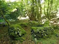 炭焼窯跡が数多く残る