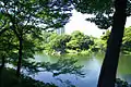 47.蓬莱島を望む