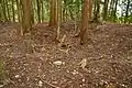 後円部墳頂の陥没坑