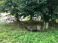 後円部石室（南）
