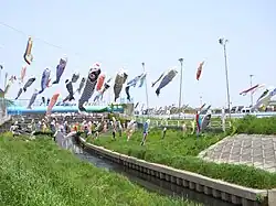 国分川鯉のぼりフェスティバル