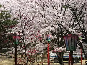 小丸山公園