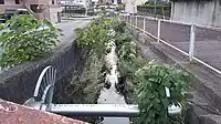 米泉川（白山町・今林町境）