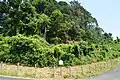 茶臼山古墳（飛地は号）