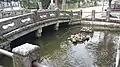 亀の池