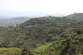 山頂に築かれたコンソの村落とそこから山麓に広がる段々畑