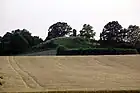 コプフシュタイネ(盛り土の上の立石)