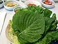 サㇺを包むのに使う葉