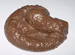 うんこ