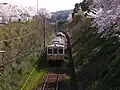 岡本方跨線橋より入線してくる電車を撮影（2011年4月）　