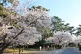 琴弾公園(香川県観音寺市)